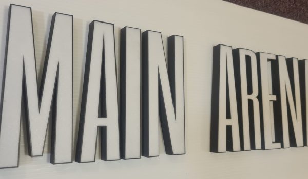 "MAIN ARENA"- Example Hire: